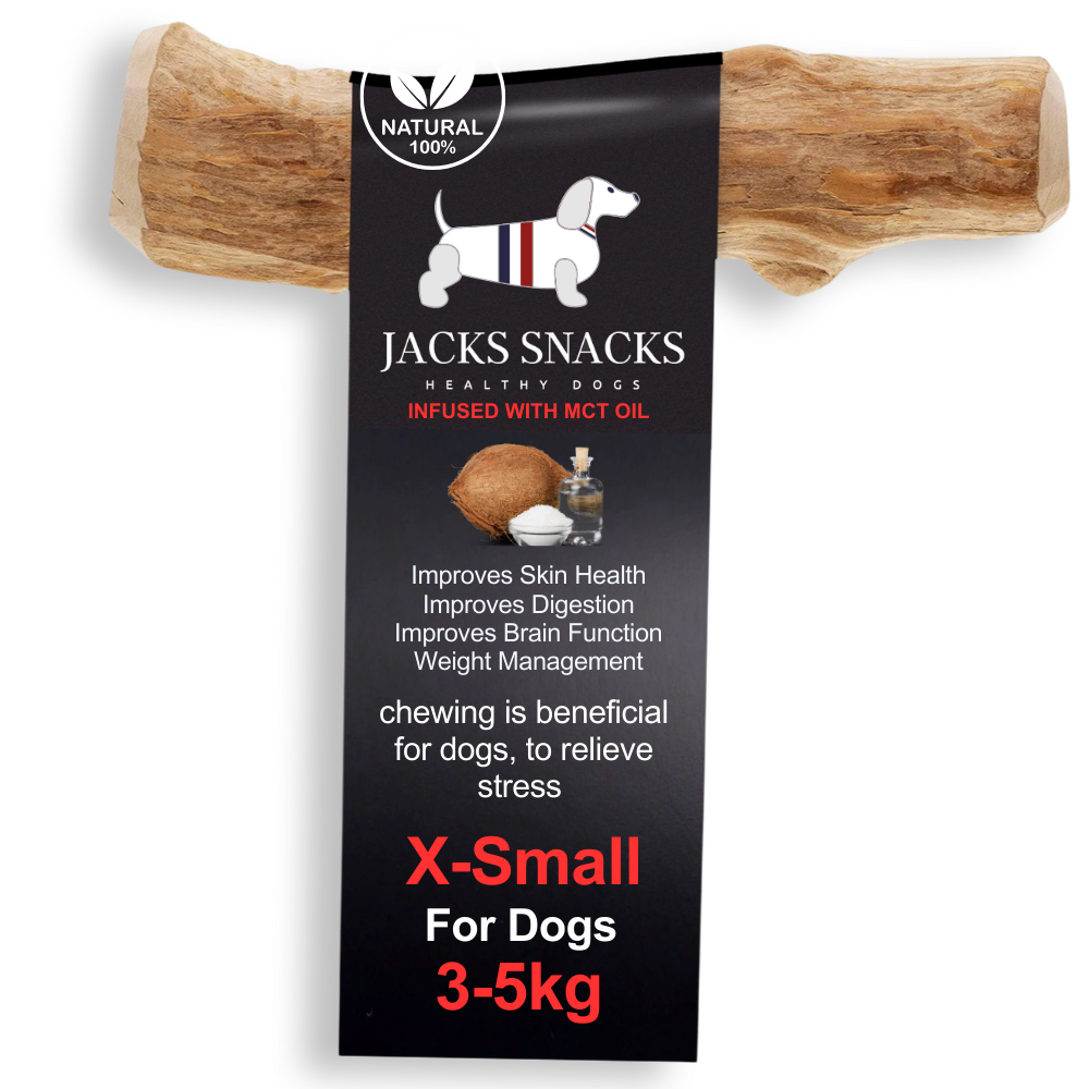Coffee Wood Dog Chew with MCT Oil-Pack Size XS