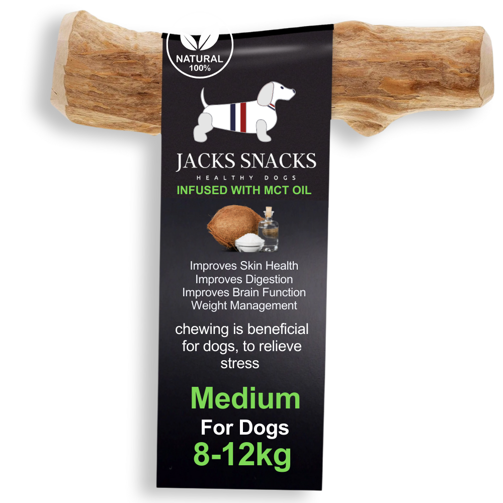 Coffee Wood Dog Chew with MCT Oil-Pack Size M
