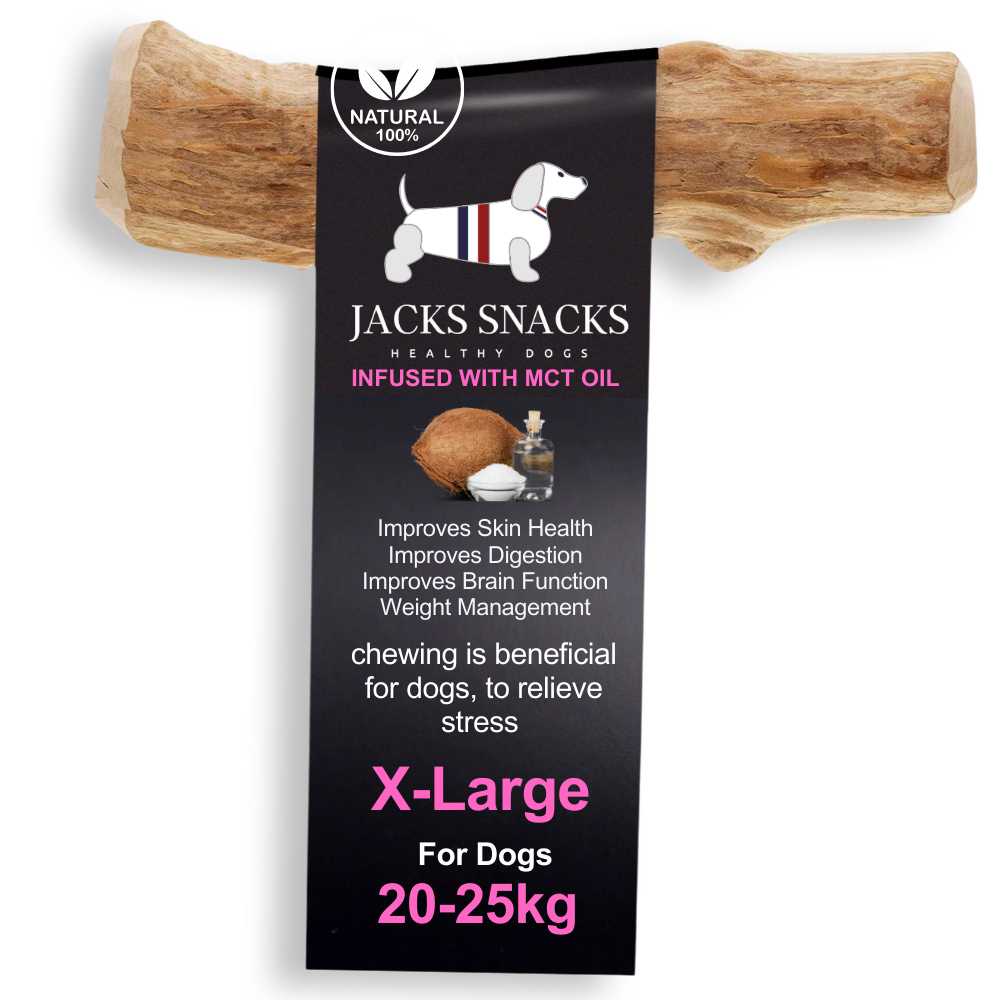 Coffee Wood Dog Chew with MCT Oil-Pack Size XL