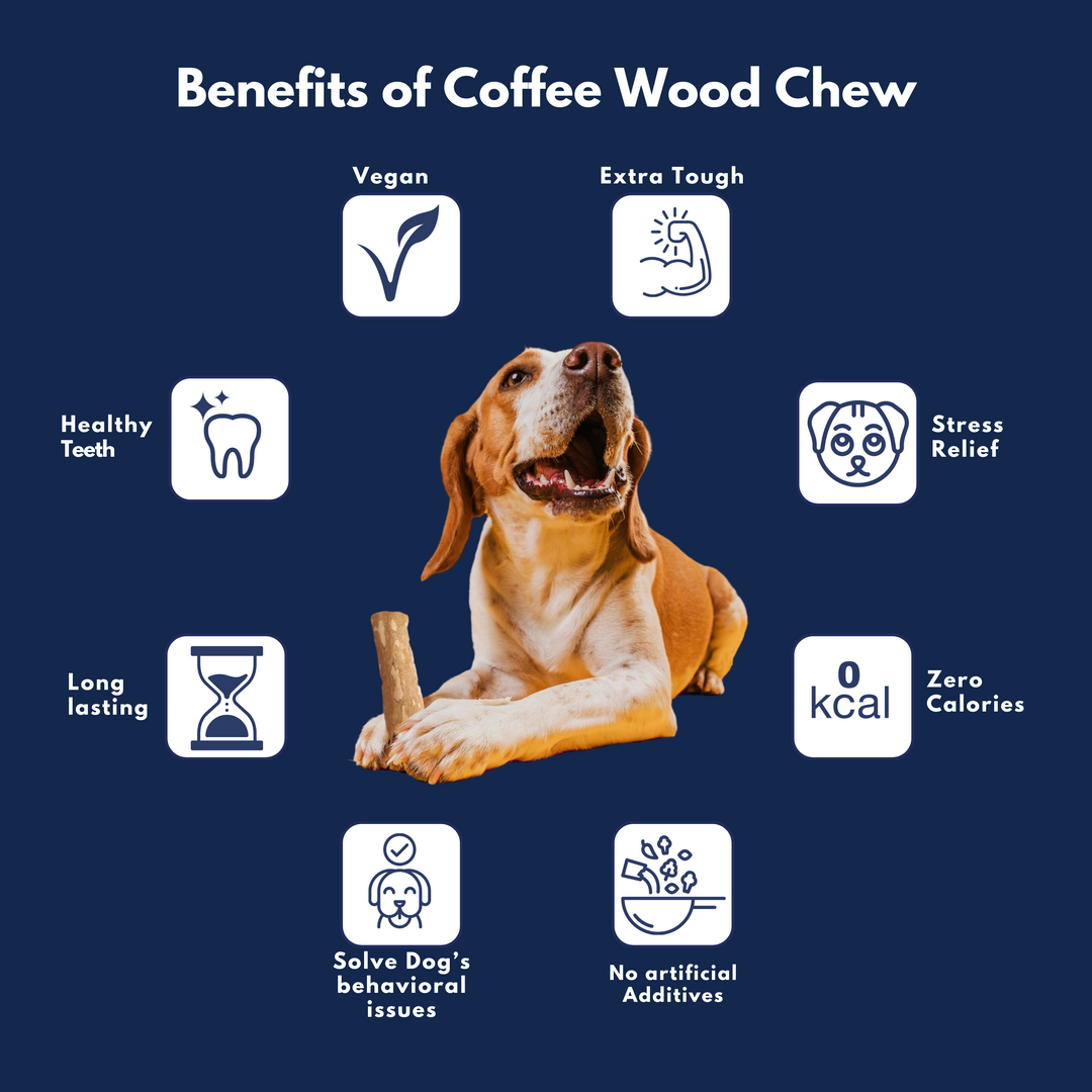 Coffee & Cinnamon Wood Dog Chew Twin Pack with MCT Oil - S