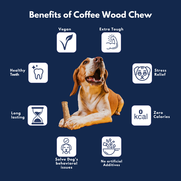 Coffee Wood Dog Chew Shaped with Coconut MCT Oil - XS